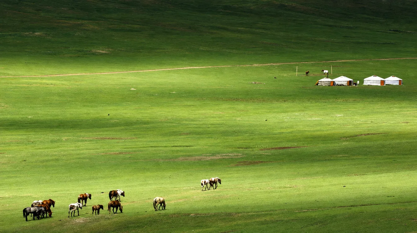 Steppe Expedition