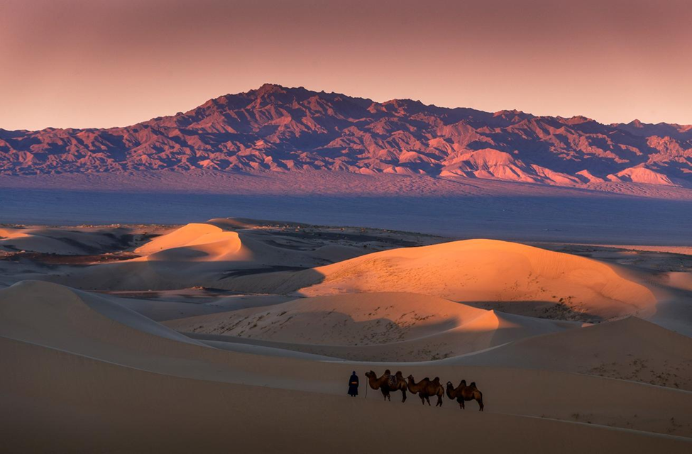 Gobi Expedition